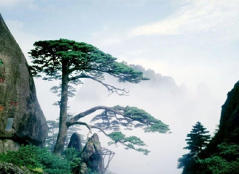 9001cc��ɳ�Գ�Ϊ��(�й�)���޹�˾����