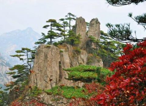 9001cc��ɳ�Գ�Ϊ��(�й�)���޹�˾����