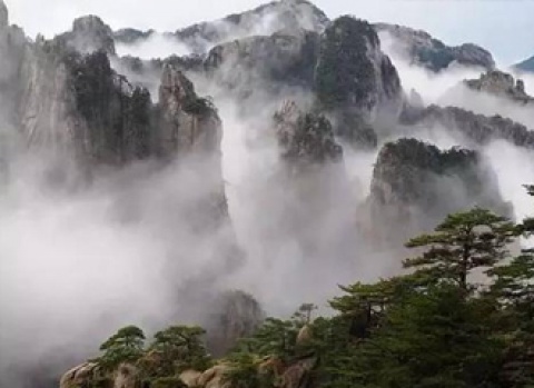 9001cc��ɳ�Գ�Ϊ��(�й�)���޹�˾����